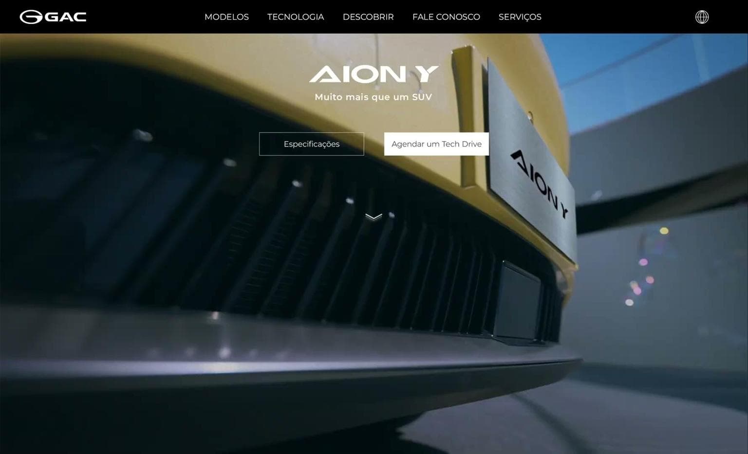 Cores AION Y